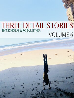 cover image of Three Detail Stories